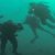 Monterey is a popular dive spot where many divers partake in certification classes. The Bay is well protected from ocean waves, making it possible to dive almost every day