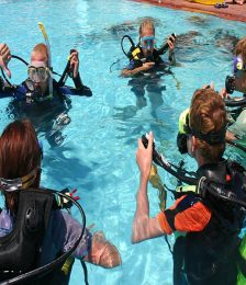 Gift the PADI Refresher Pool Program