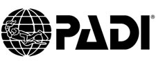 Padi Icon