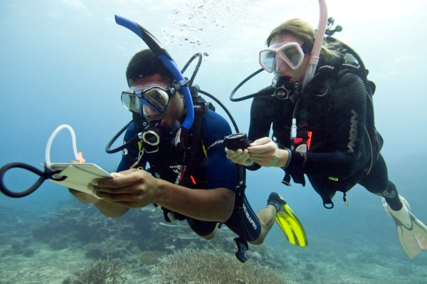 sample padi medical questions for scuba divers