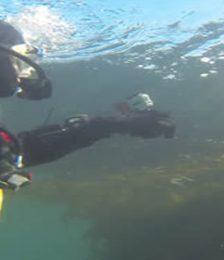 Dec 19-20 Monterey Checkout Dives 2026