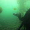 Jul 12-13 Ocean Dives - Image 7