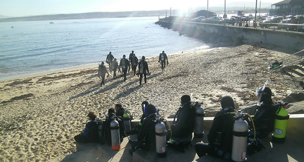 Diving in Cold Water is Challenging