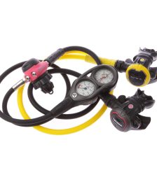 Rental Regulator
