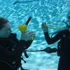 Apr 26-27 Weekend Pool Program - Image 3