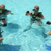 Gift the pool program