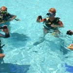 Gift the pool program