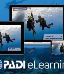 Gift the PADI eLearning academics