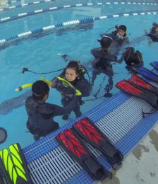 Learn to Dive