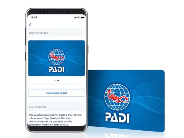 Try a replacement certification card ranked number 1