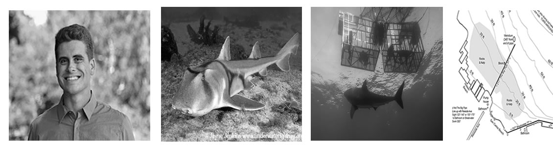 Nathan Shark Conservation Instructor Nathan Shark Conservation Instructor
