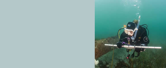 Dec 10 Discover Scientific Diving – Reef Check