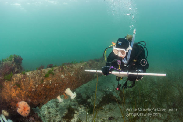 best reef check scientific diver program