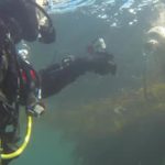 Drysuit Sizing is easy at Scuba Fusion
