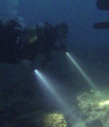 May 3 Saturday NIGHT Beach Dive