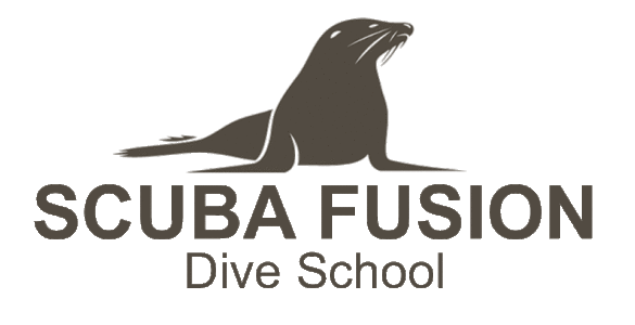 scuba-fusion-bay-area-dive