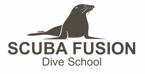 scuba-fusion-bay-area-dive