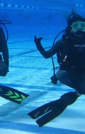 Scuba Fusion Dive Center – Bay Area Scuba Diving Classes & Equipment