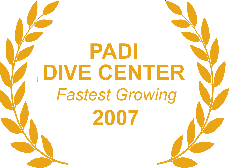 Trophy showing award Scuba Fusion won in 2007