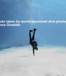 Photo courtesy of world-renowned dive photographer Jenna Ghaddar